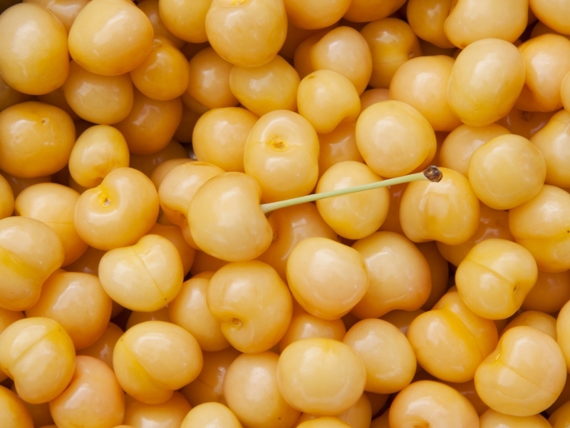 Fruits in Brine, SO2