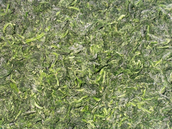 Frozen Spinach leaves, cut