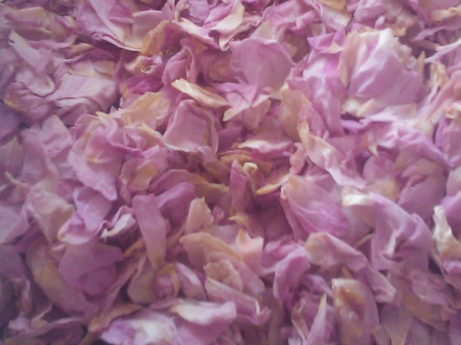 IQF Rose Petal