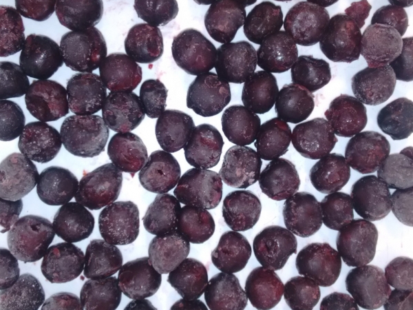 IQF Black Cherry Tragana pitted and with stone